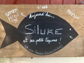 🎣LE SAMEDI C'EST....POISSON !🎣

Ce samedi midi notre chef vous régale avec le poisson du samedi qui sera du silure 👨‍🍳

On s'assoit au bord du...
