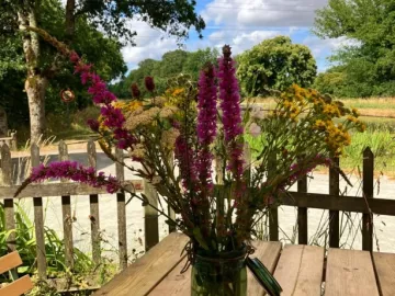 C'est l'été à La Tindiere ☀️🌻🌸🏡😎

#restaurant #gites #nortsurerdre #eclusedelatindière