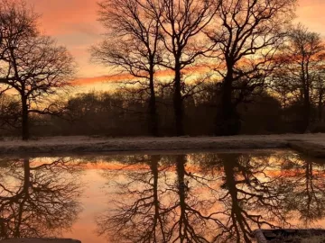 🌅❄️Lever de soleil ce matin à la Tindière avec la gelée blanche déposée cette nuit❄️🌅

Chaque saison apporte un peu de sa beauté à La Tindière. On...